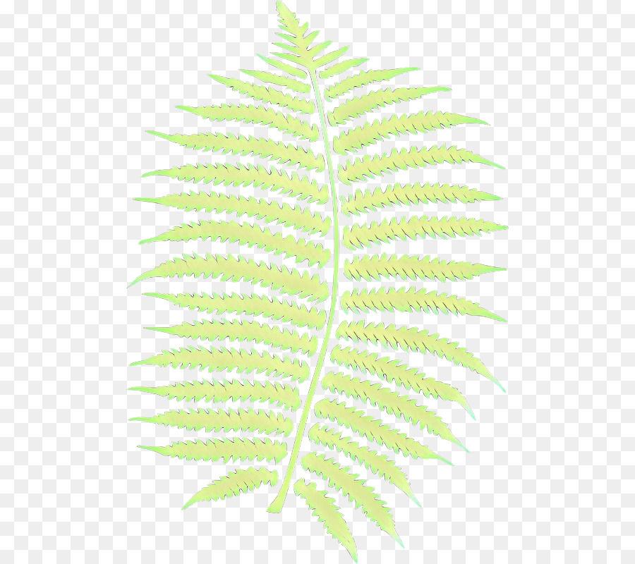 Feuille，Tige De La Plante PNG