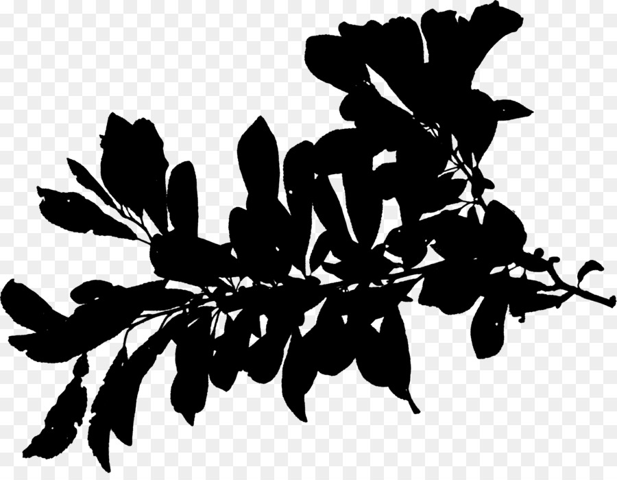 Silhouette Florale Noire，Fleurs PNG