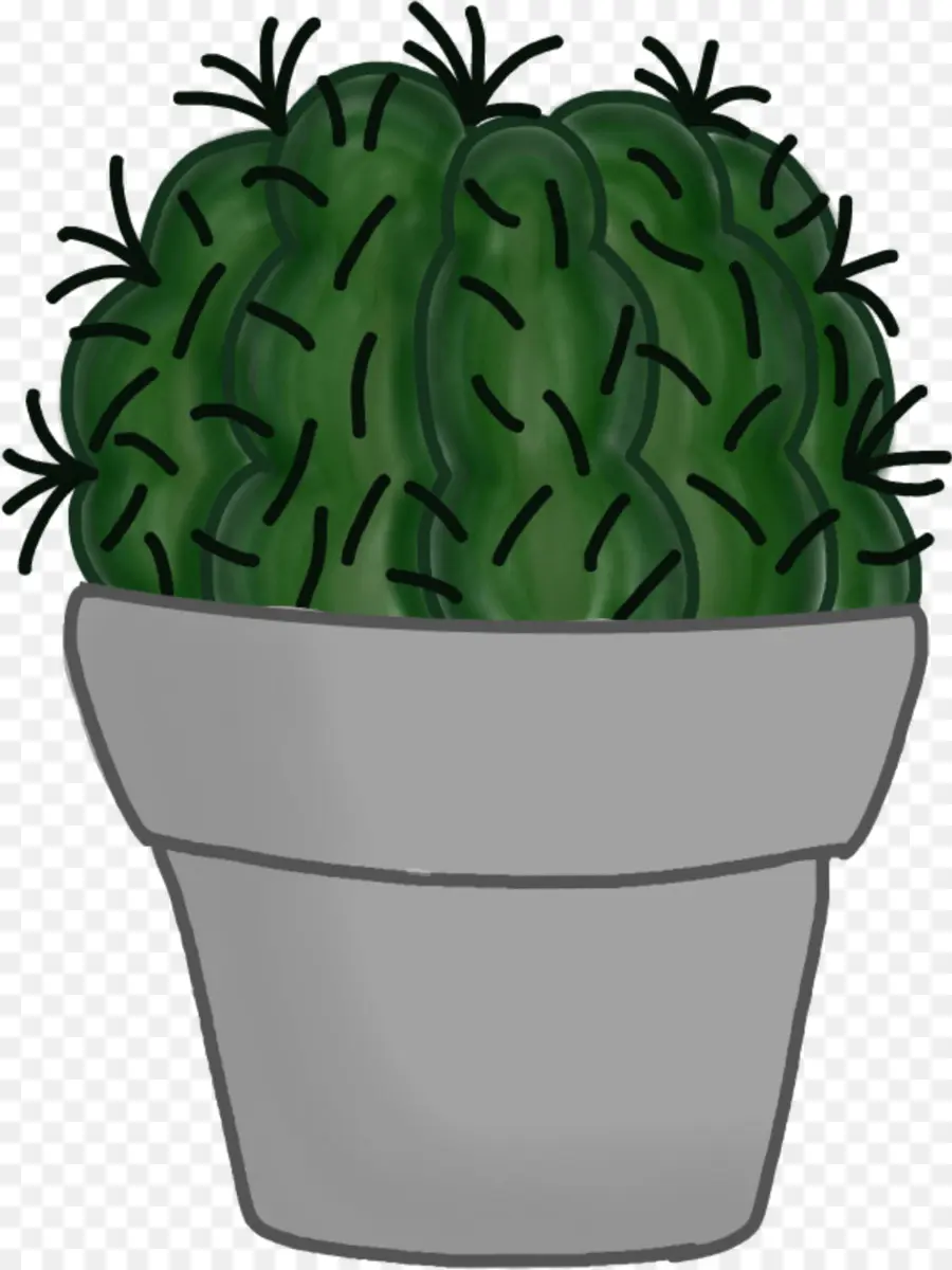 Cactus，Plante Succulente PNG