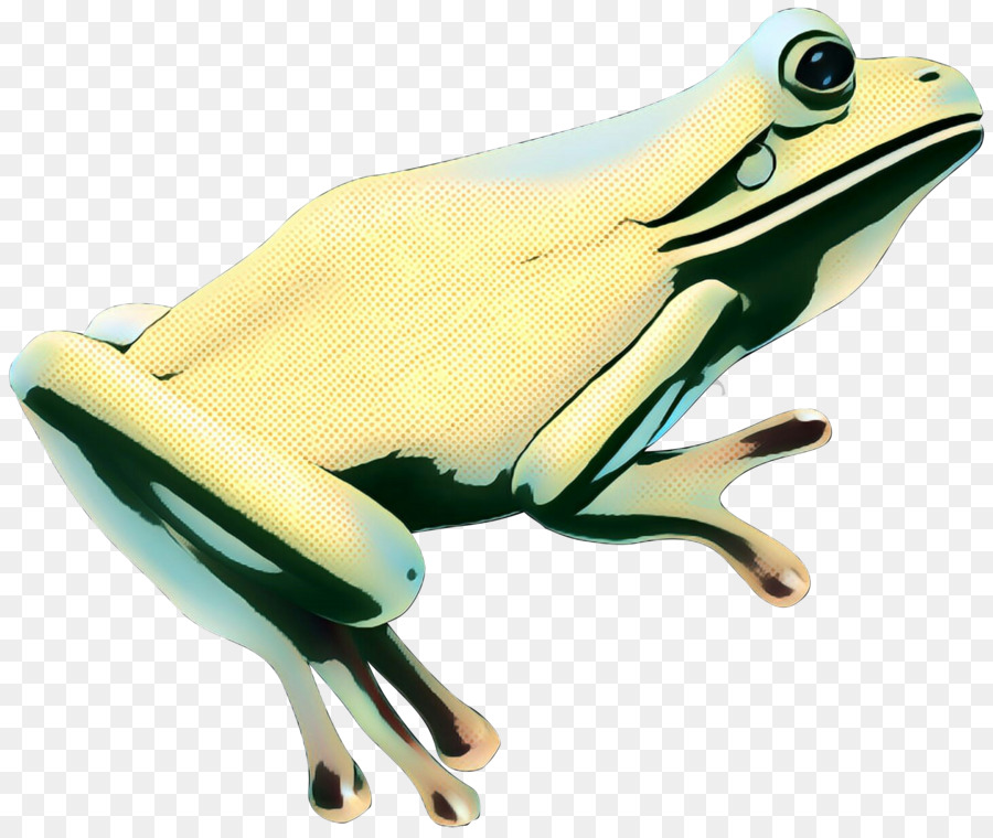 Rainette，Vrai Grenouille PNG