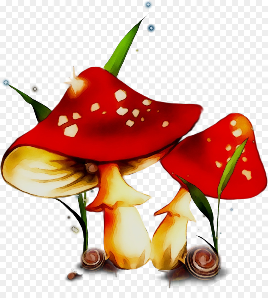 Champignons，Herbe PNG