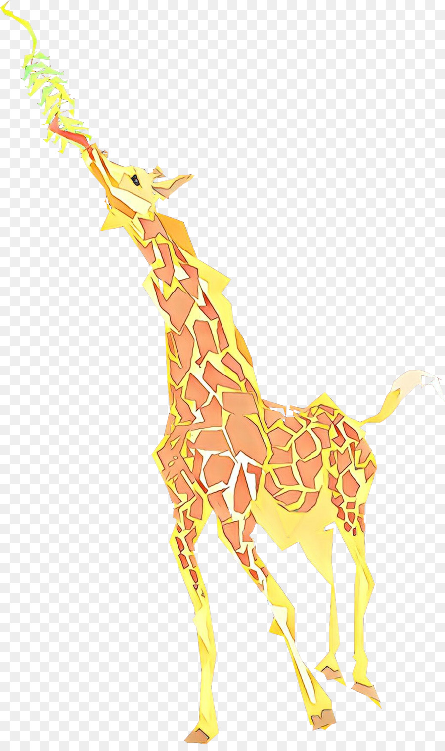 Girafe，Faune PNG