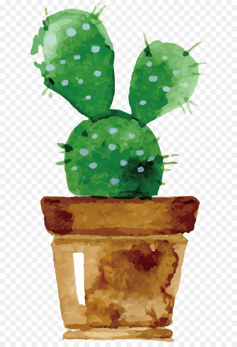 Peinture à L'aquarelle，Cactus PNG