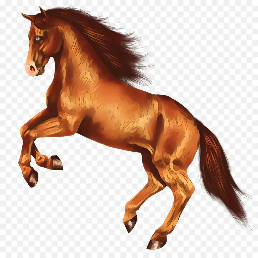 Chevaux Qui Courent，Animaux PNG