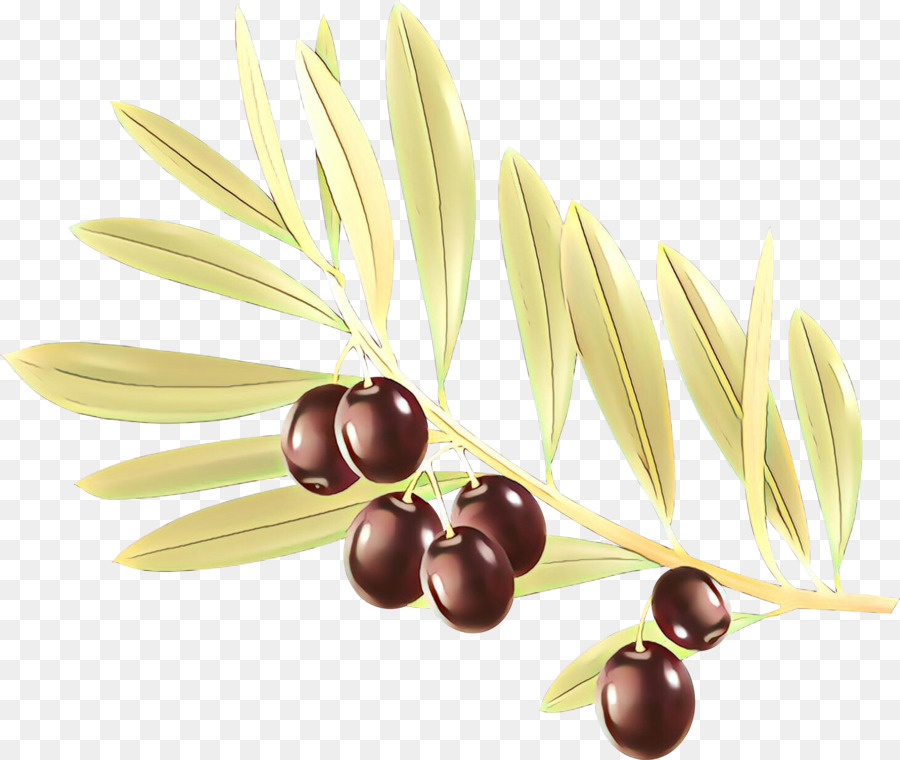 Olives Noires，Bifurquer PNG