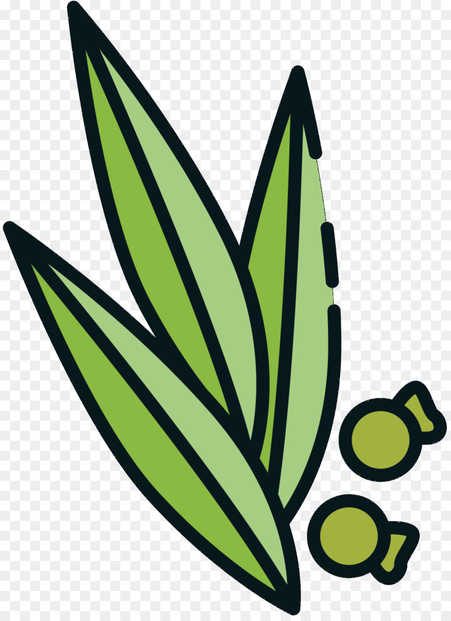 M Papillon，Feuille PNG