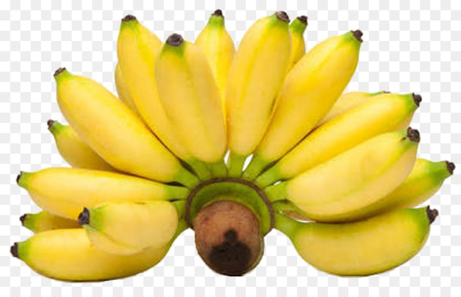 Banane De Doigt De Dame，Banane PNG