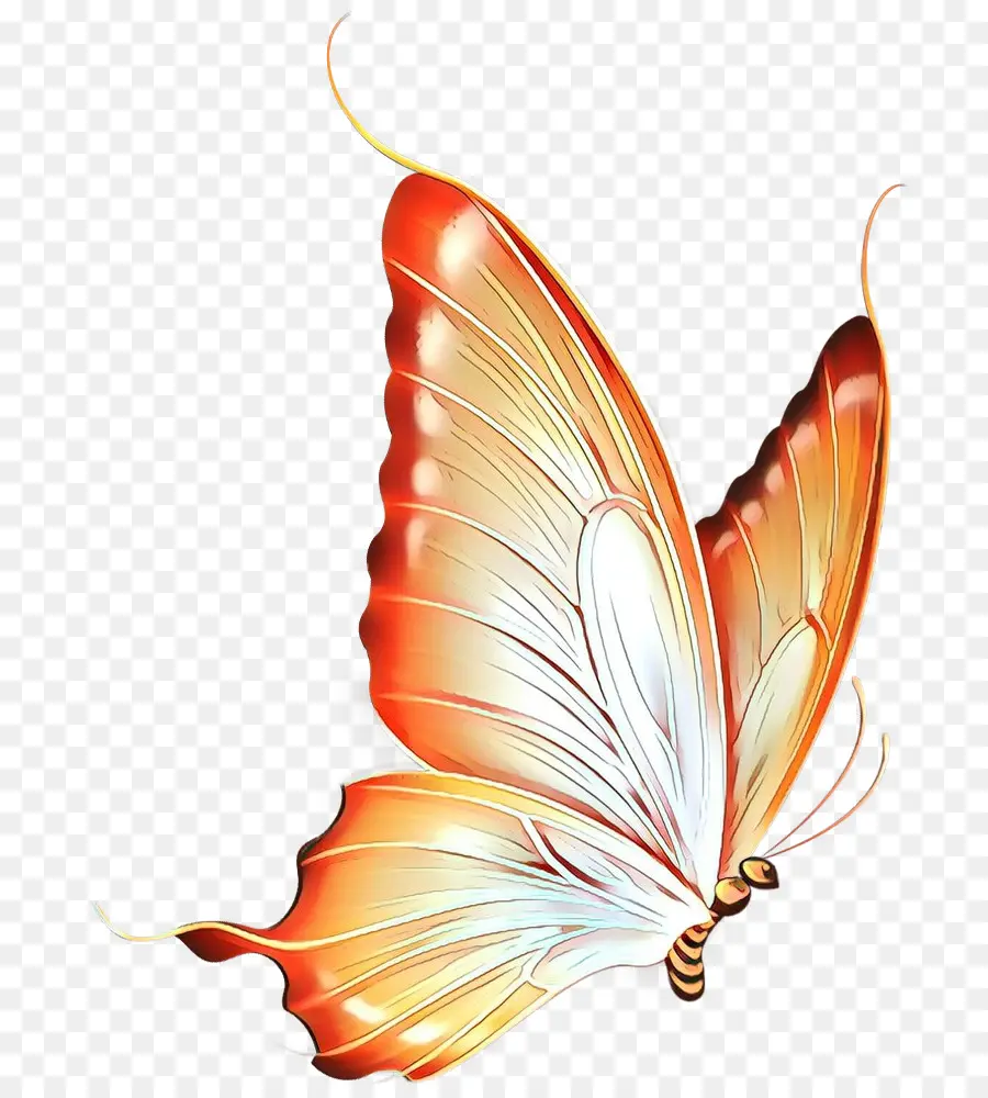 Papillon，Ordinateur Icônes PNG