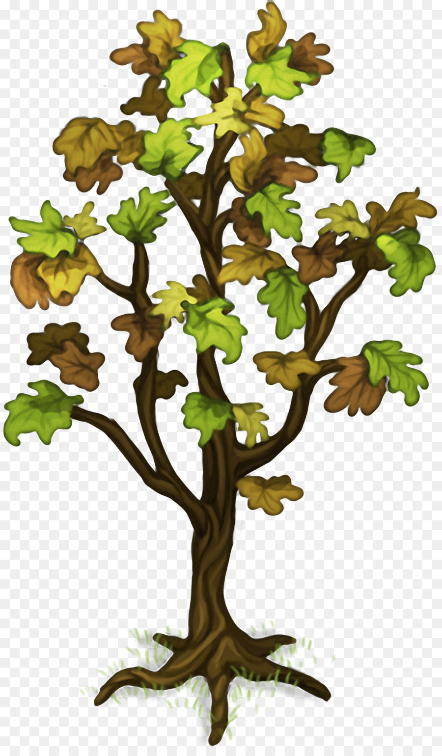 Arbre，Feuilles PNG