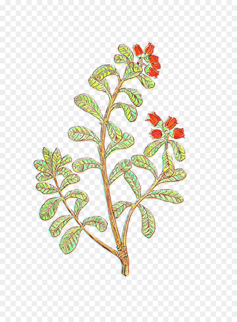 Branche，Tige De La Plante PNG