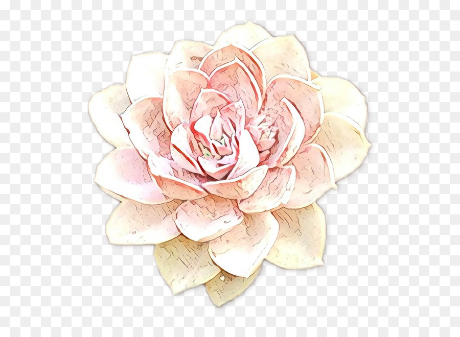 Les Roses De Jardin，Rose PNG