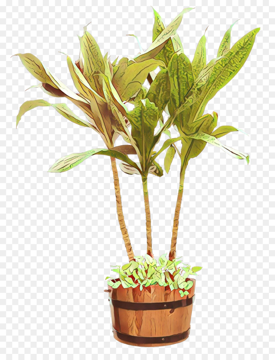 Plante En Pot，Feuilles PNG