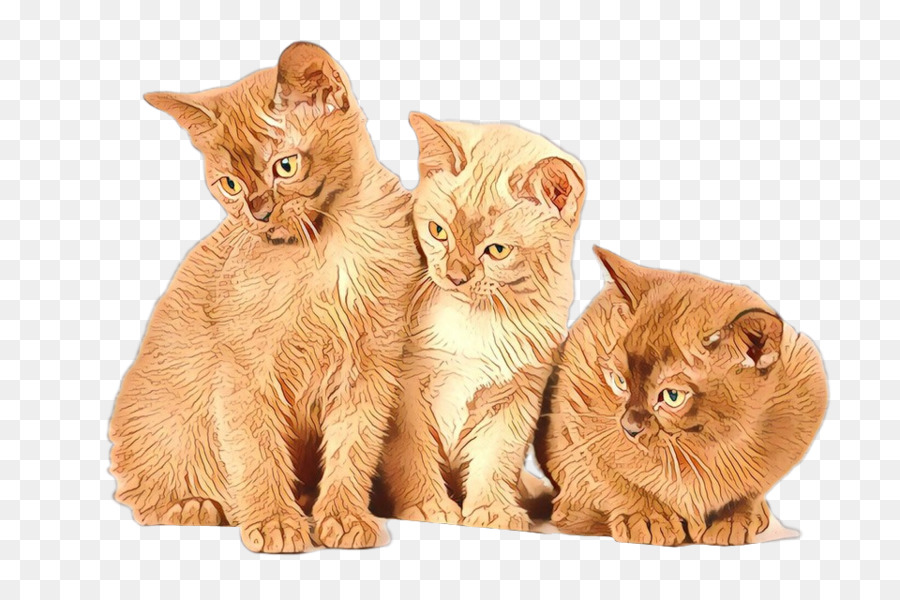 Chatons，Chats PNG