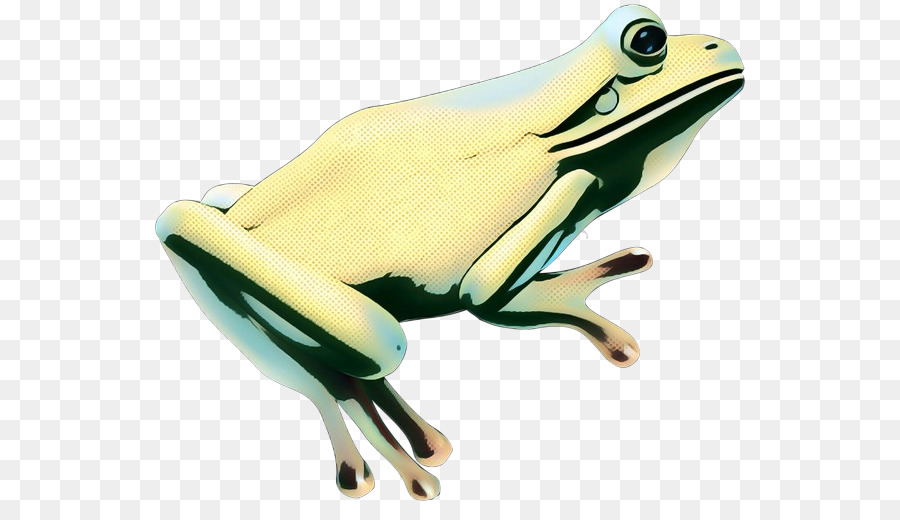 Rainette，Vrai Grenouille PNG