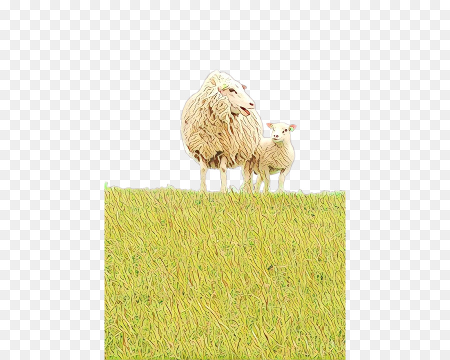 Les Moutons，Les Prairies PNG