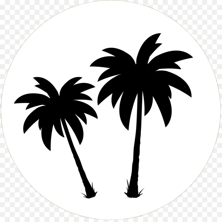 Les Palmiers，Noir Blanc M PNG