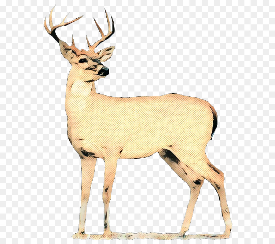 Cerf，Bois PNG