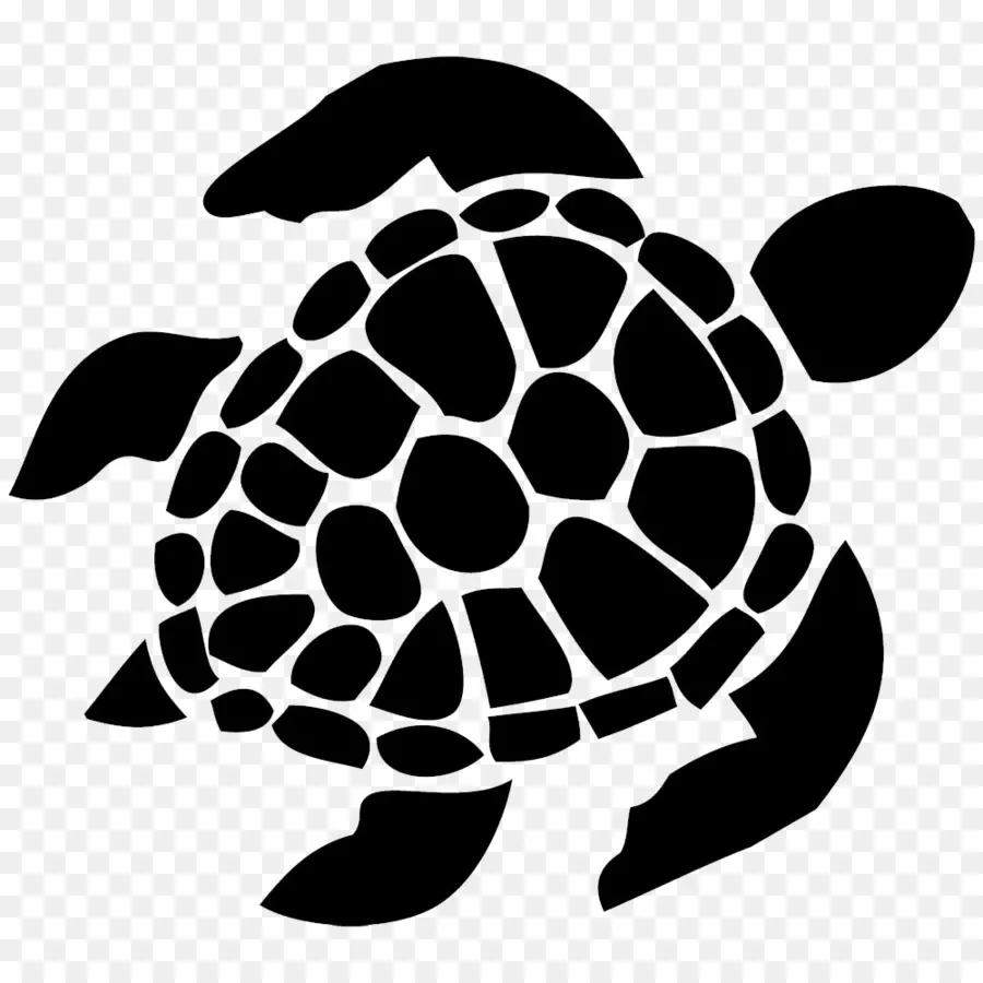 Tortue Noire，Mer PNG