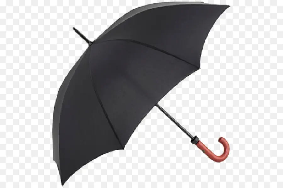 Parapluie Noir，Pluie PNG