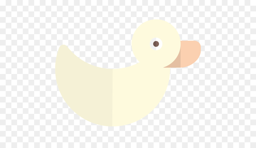 Canard，Oiseau PNG