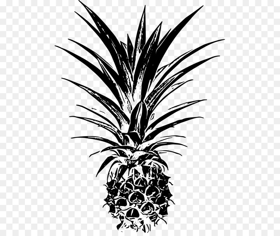 Ananas Noir，Tropical PNG