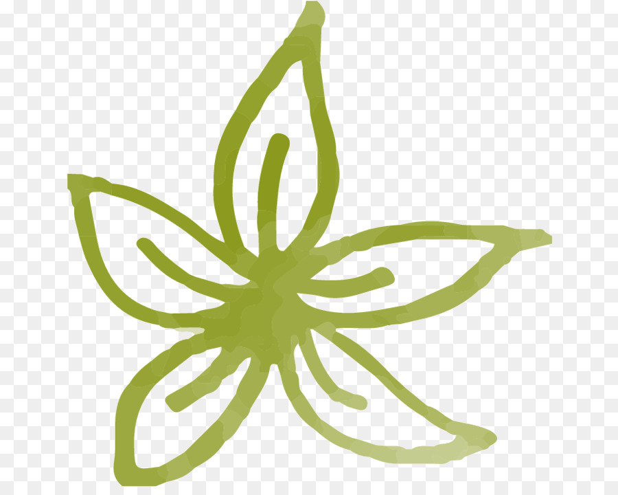 Tige De La Plante，Feuille PNG