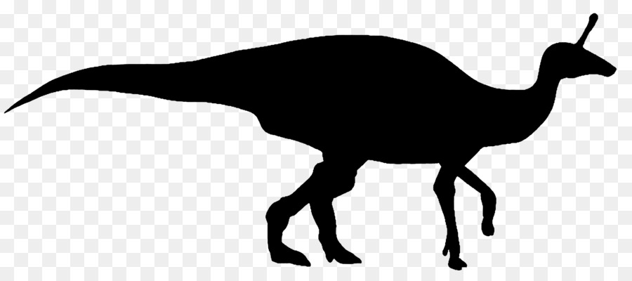 Silhouette De Dinosaure，Reptile PNG