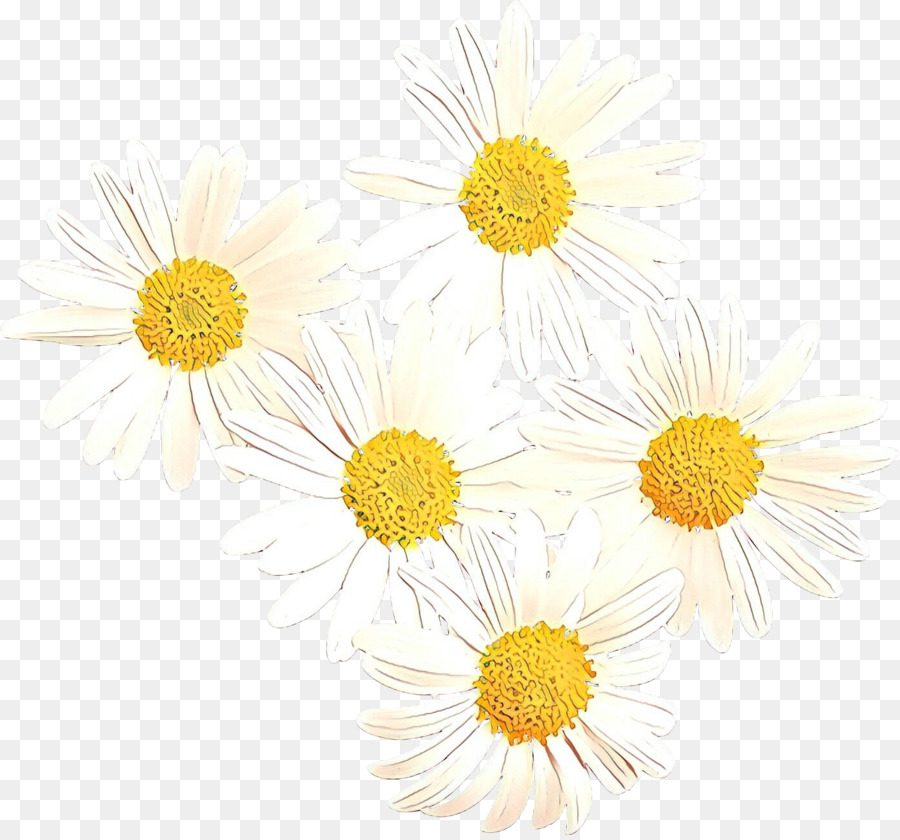 Marguerites，Centre Jaune PNG