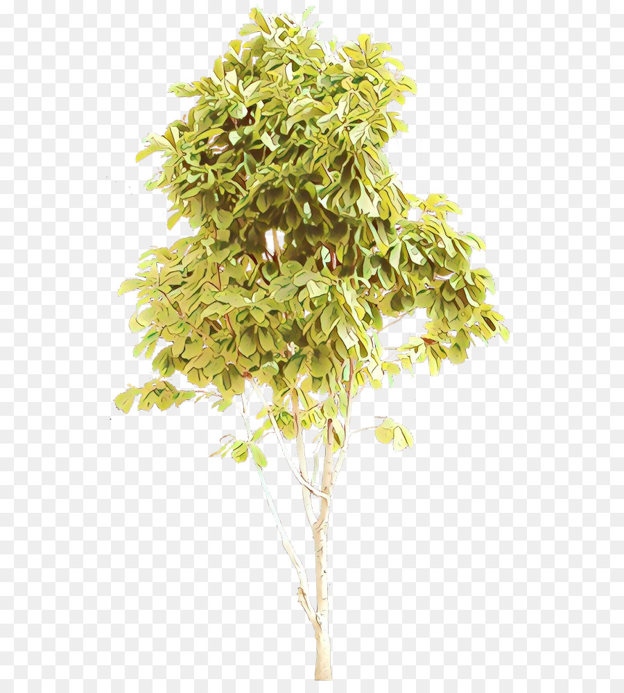 Arbre Vert，Feuilles PNG