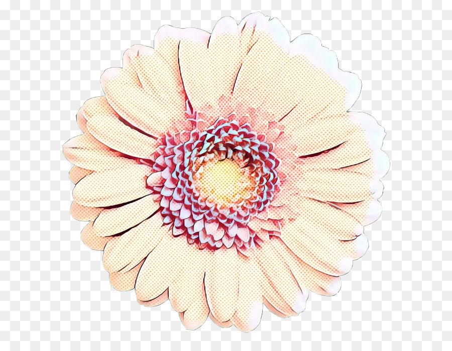 Marguerite Du Transvaal，Les Fleurs Coupées PNG