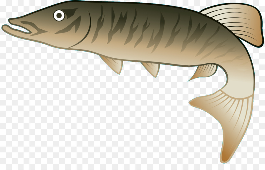 Poisson，Aquatique PNG