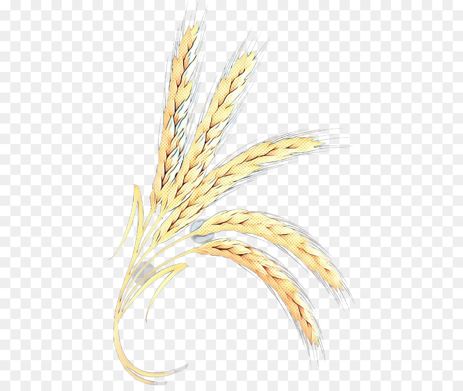 Blé，Grain PNG