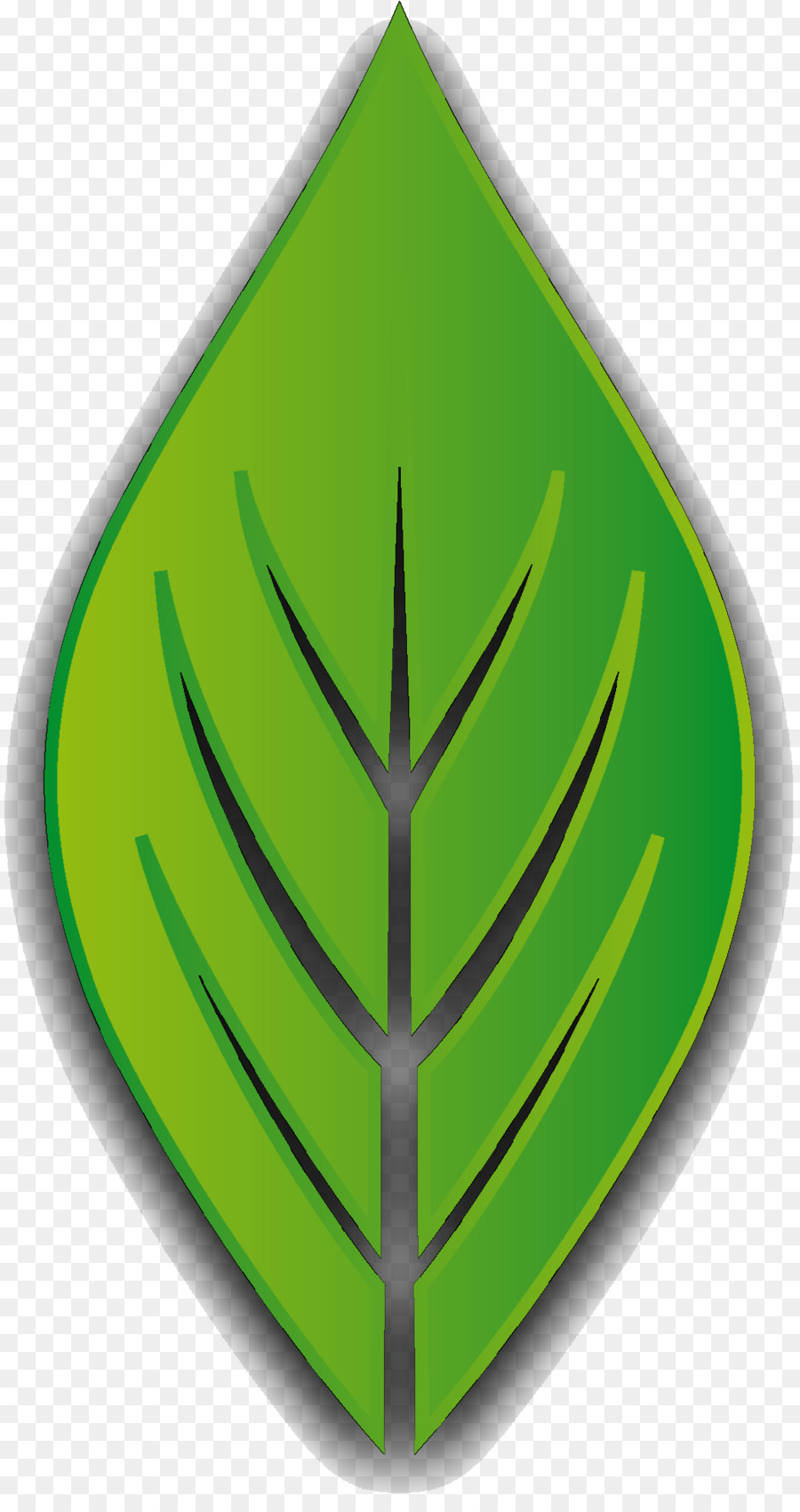 Feuille，Arbre PNG