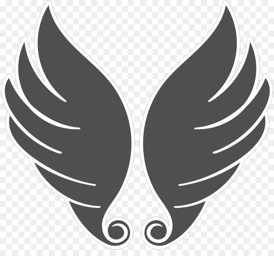 Ailes，Plumes PNG