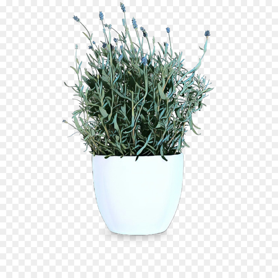 Herbe，Plante PNG
