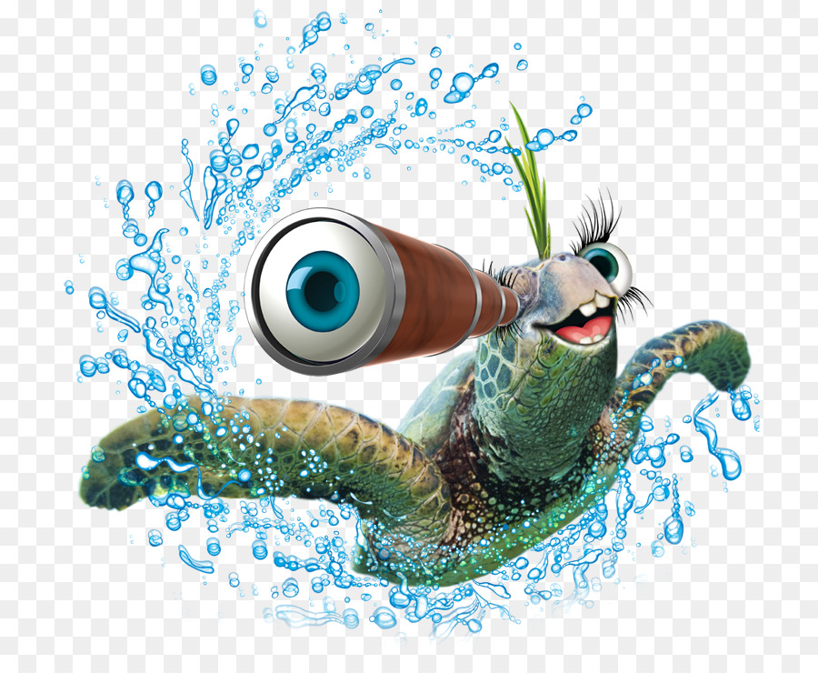 L'eau，Animal PNG