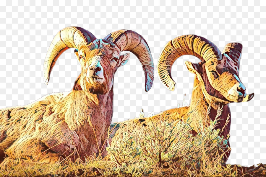 Les Moutons，Argali PNG