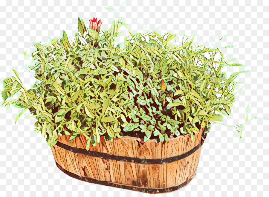 Herbe，Plante PNG