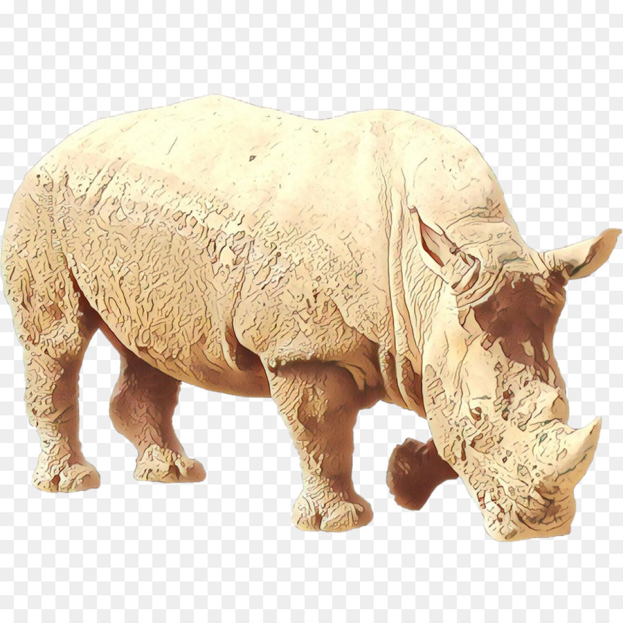 Rhinocéros，Sauvage PNG