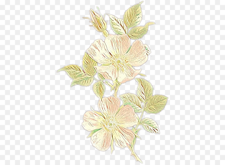 Design Floral，Fleur PNG