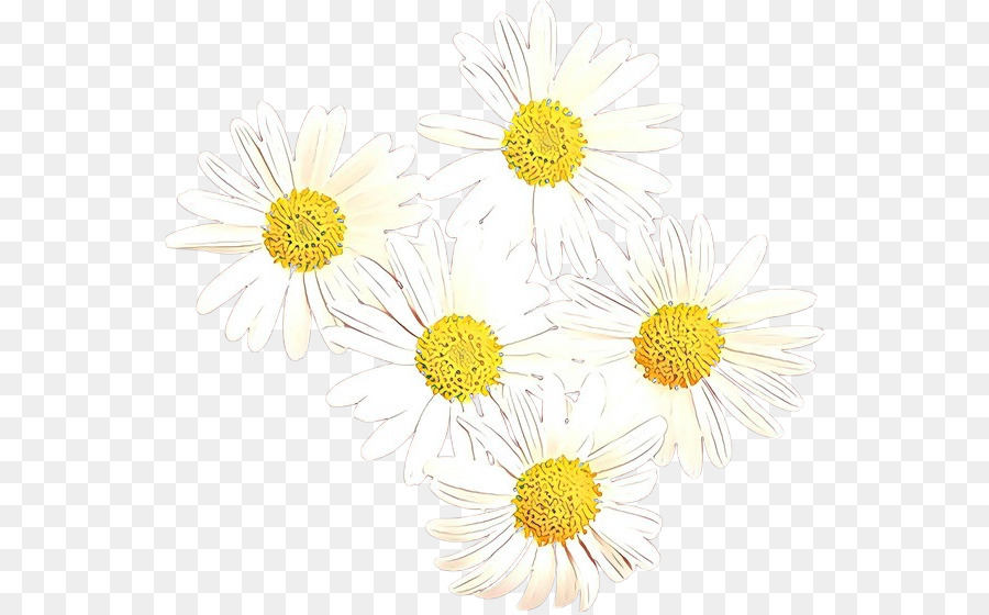 Marguerites，Centre Jaune PNG