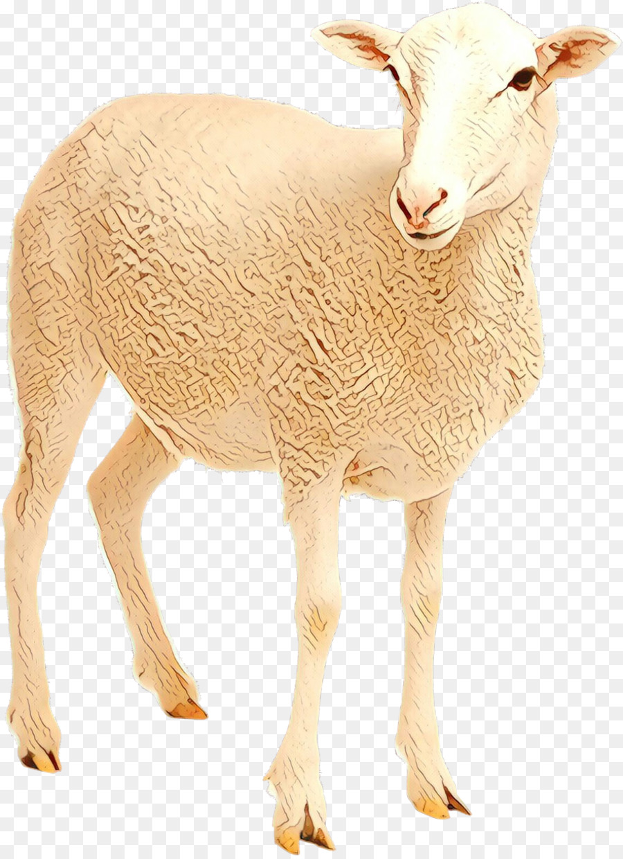 Mouton，Bétail PNG