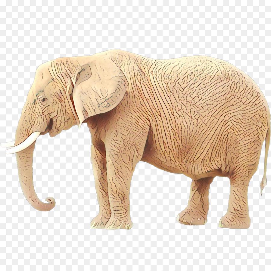 L'éléphant D'afrique，éléphant Indien PNG