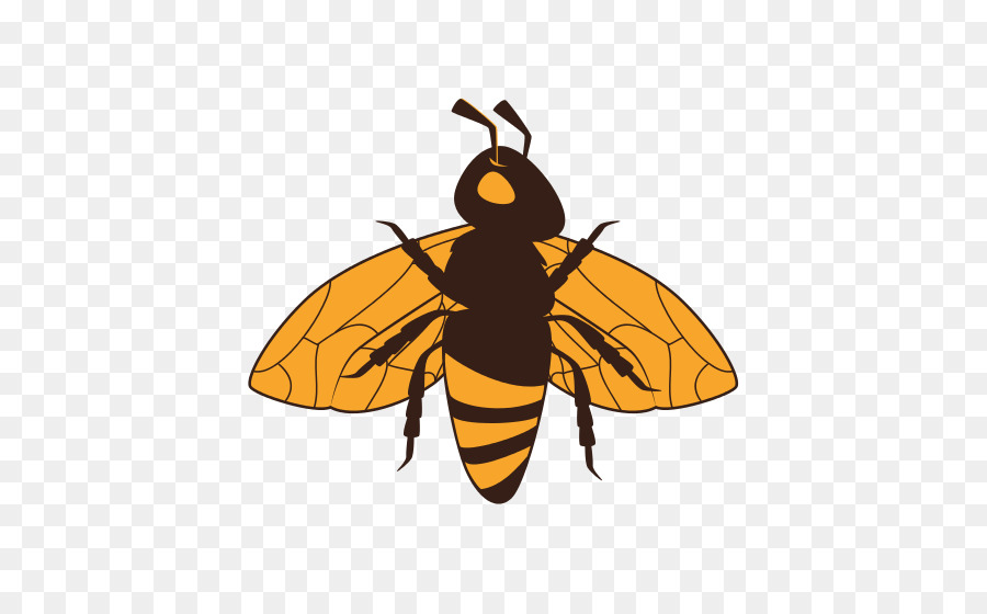 Abeille，Insecte PNG