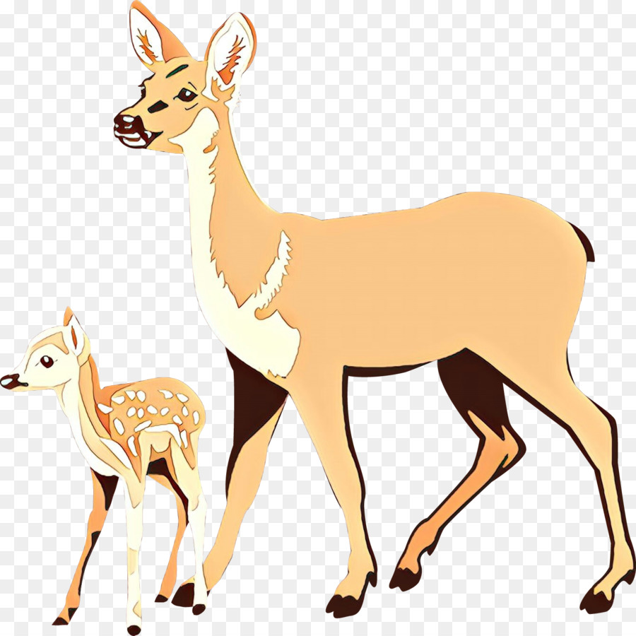 Cerf，Whitetailed Cerf PNG