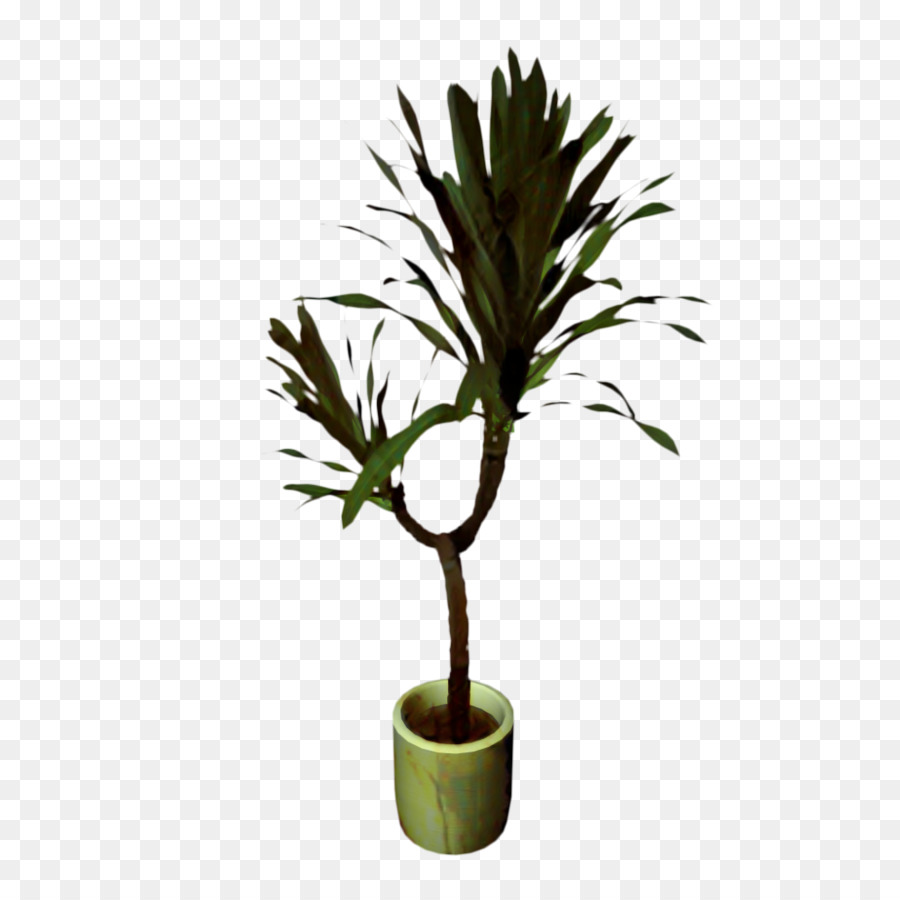 Les Palmiers，Flowerpot PNG