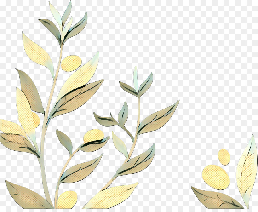 Olive，L'huile D'olive PNG