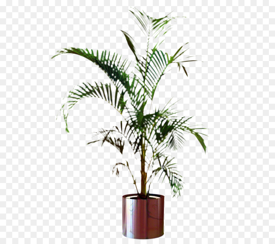 Plante En Pot，Pot PNG