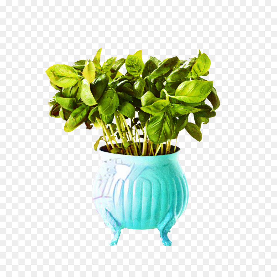 Flowerpot，Fleur PNG