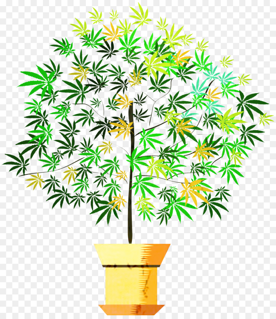 Plante En Pot，Pot PNG